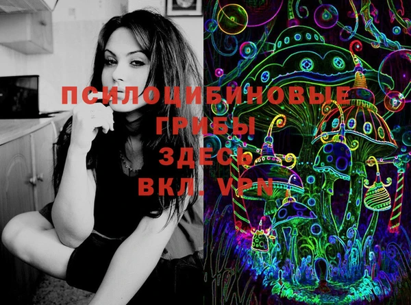 дурь Гусиноозёрск