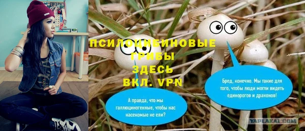 дурь Гусиноозёрск