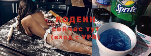 дурь Гусиноозёрск
